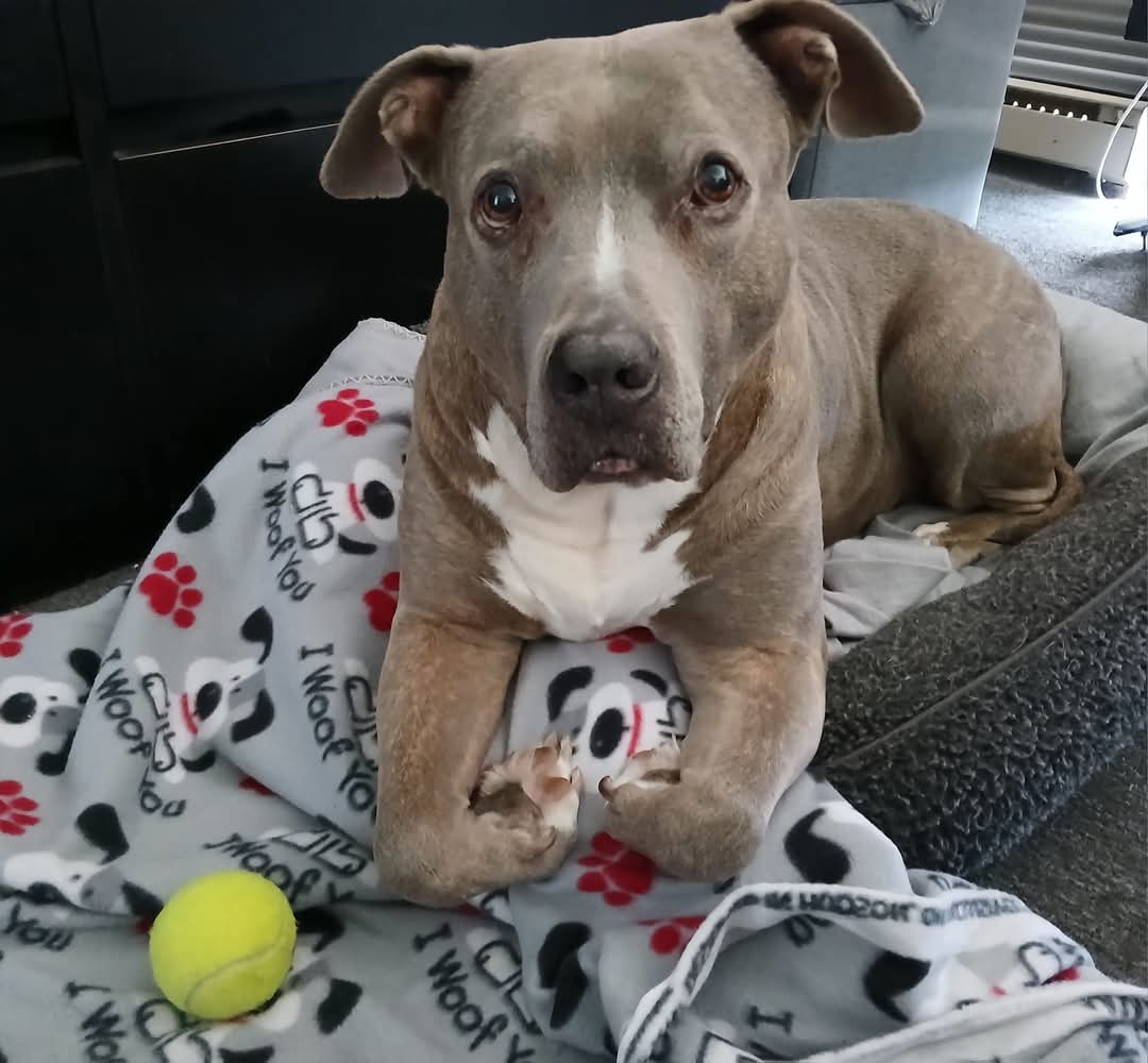 FB IMG 1762998369060